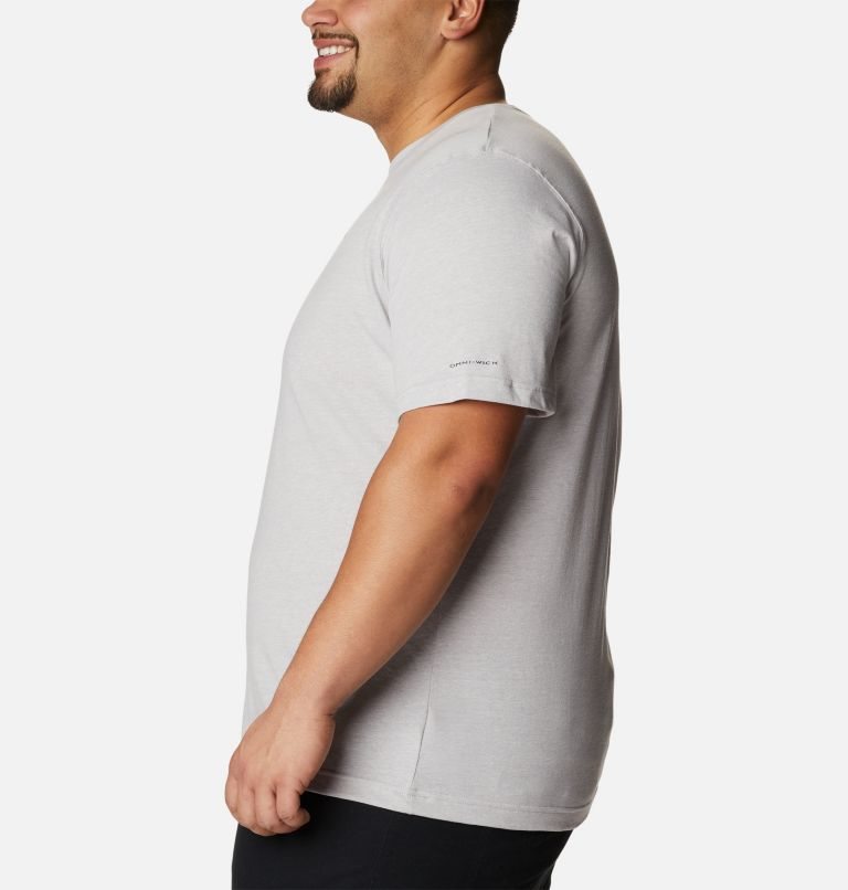 Men's Columbia Thistletown Hills Short Sleeve T Shirts Light Grey | Plus Size CA-SAC08